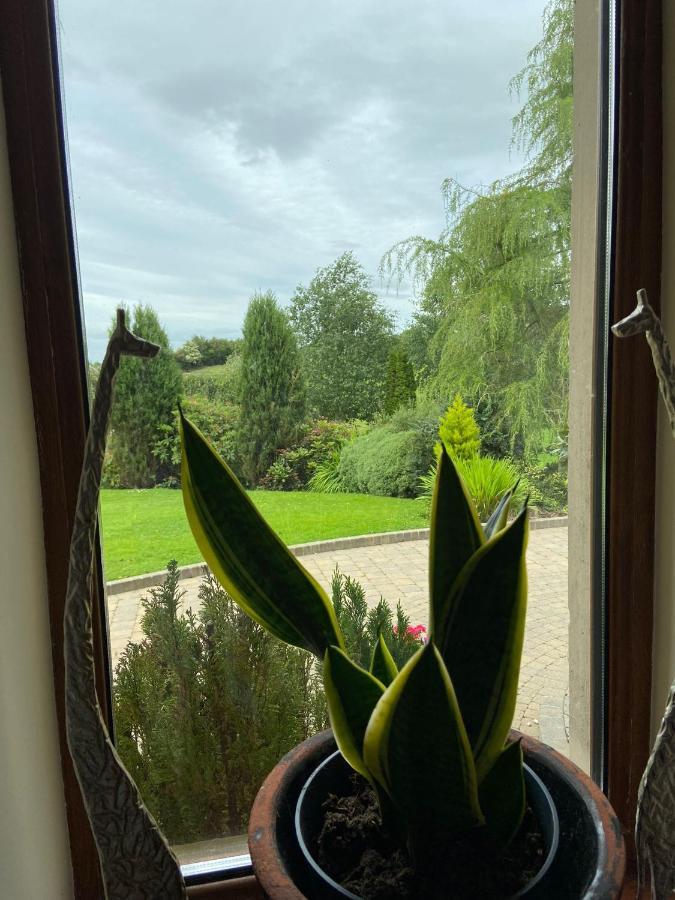 Corness House B&B Monaghan Esterno foto
